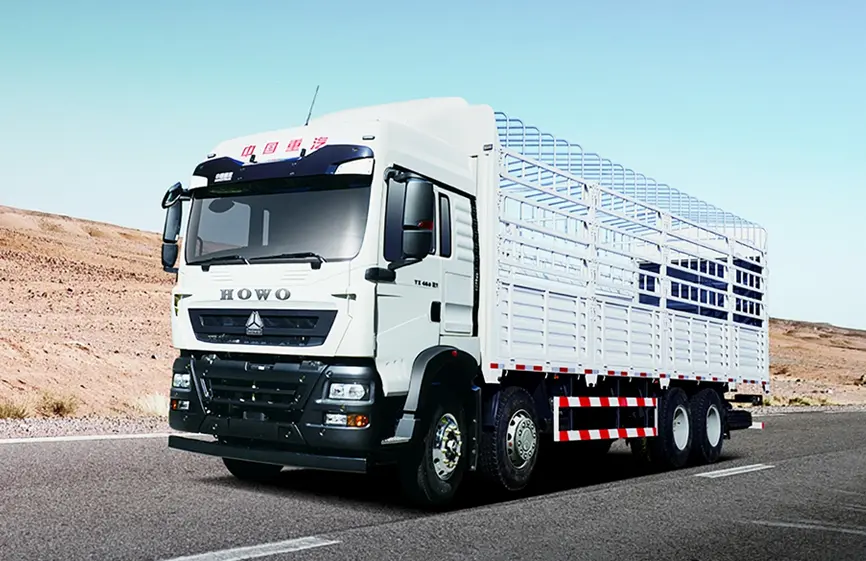 Sinotruk Howo 290 TX 8×4 Cargo Truck-2