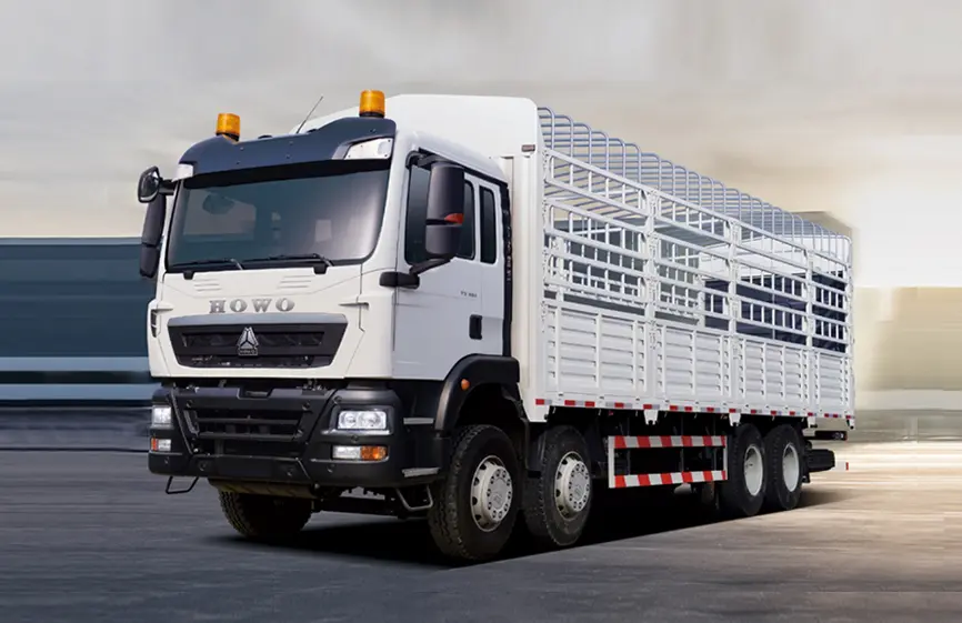 Sinotruk Howo 290 TX 8×4 Cargo Truck